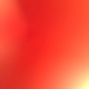 Meet your Posher, Minnie